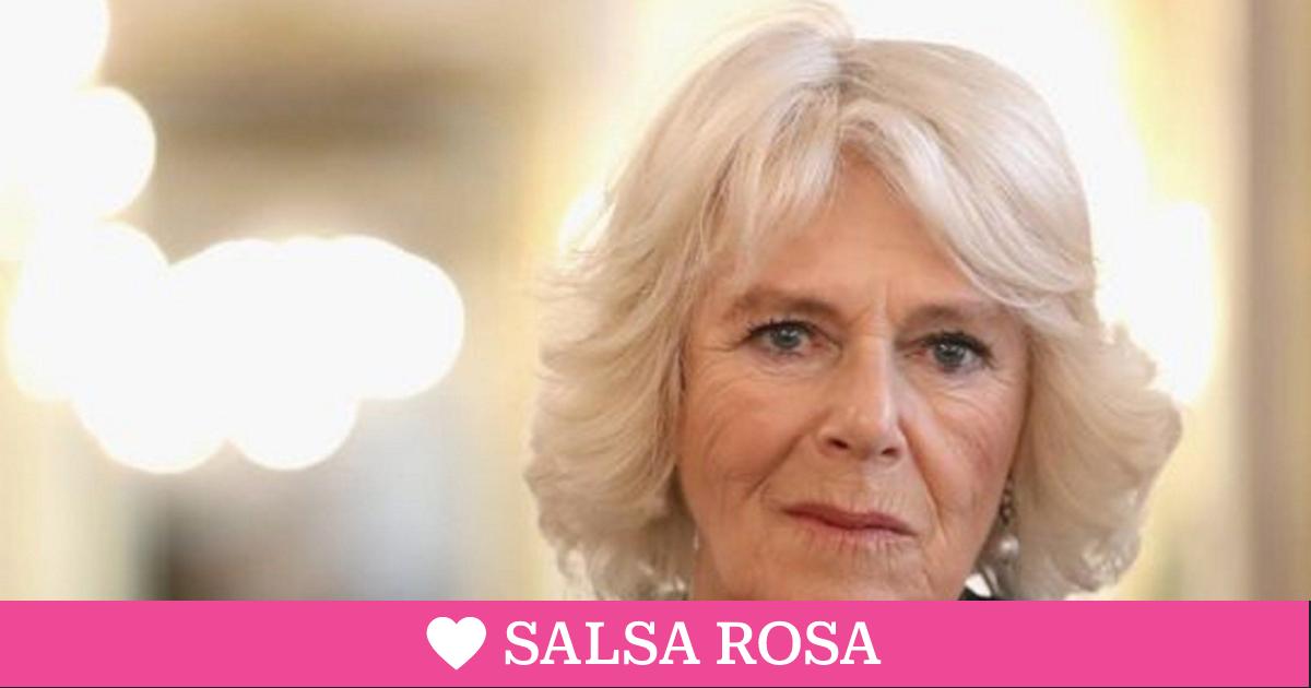 Camilla Parker Bowles Est Trabajando Para Colocar A Sus Hijos De Cara