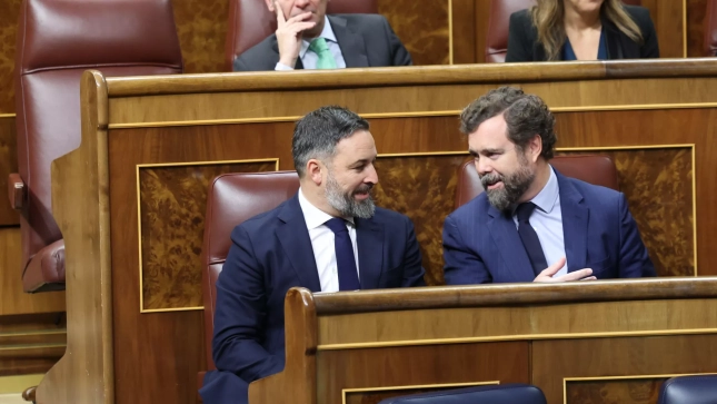 Iván Espinosa de los Monteros y Santiago Abascal | Gtres