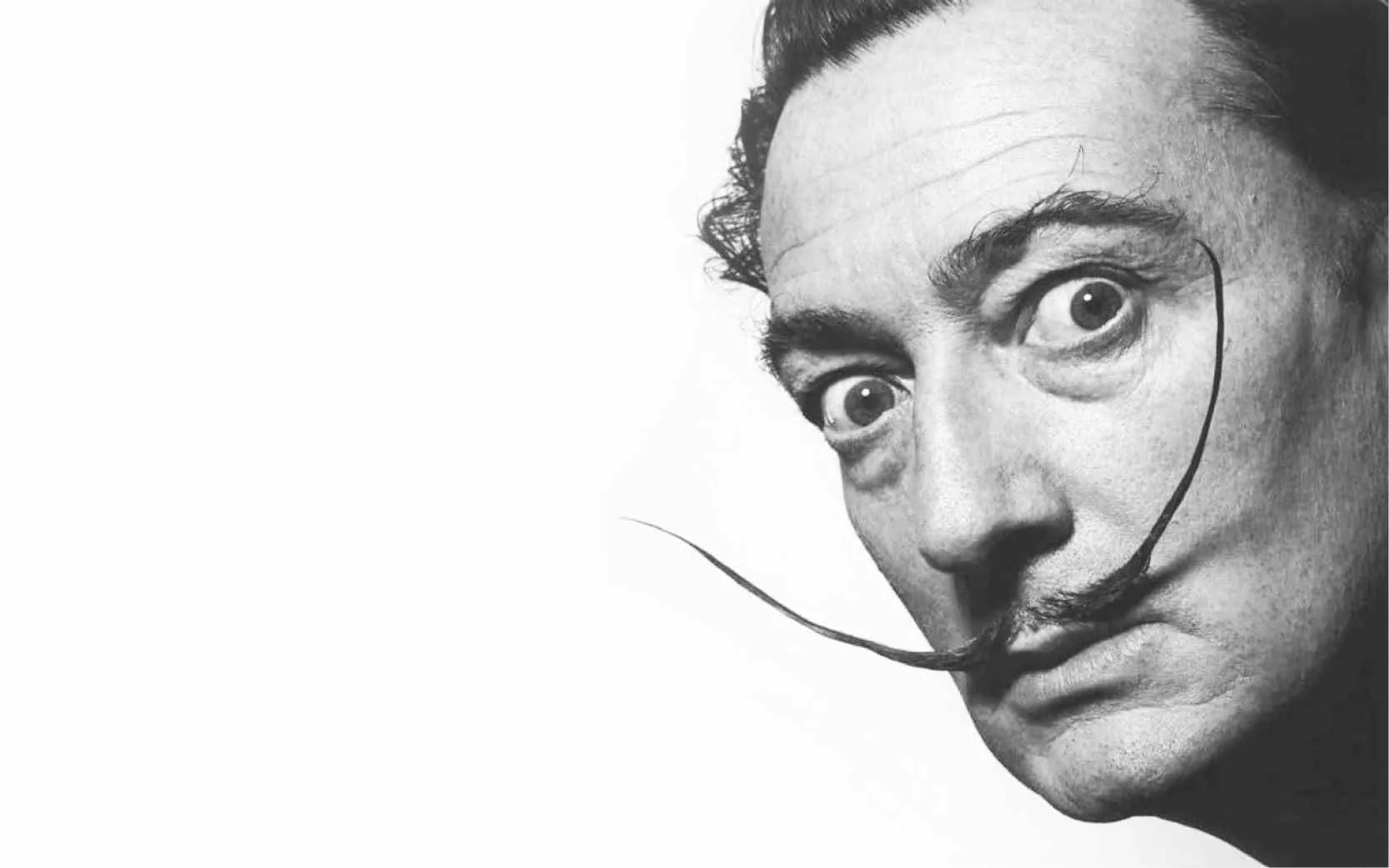 salvador dali