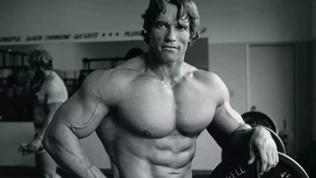 Arnold Schwarzenegger