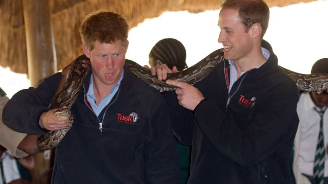 Harry y William en Botswana con una boa